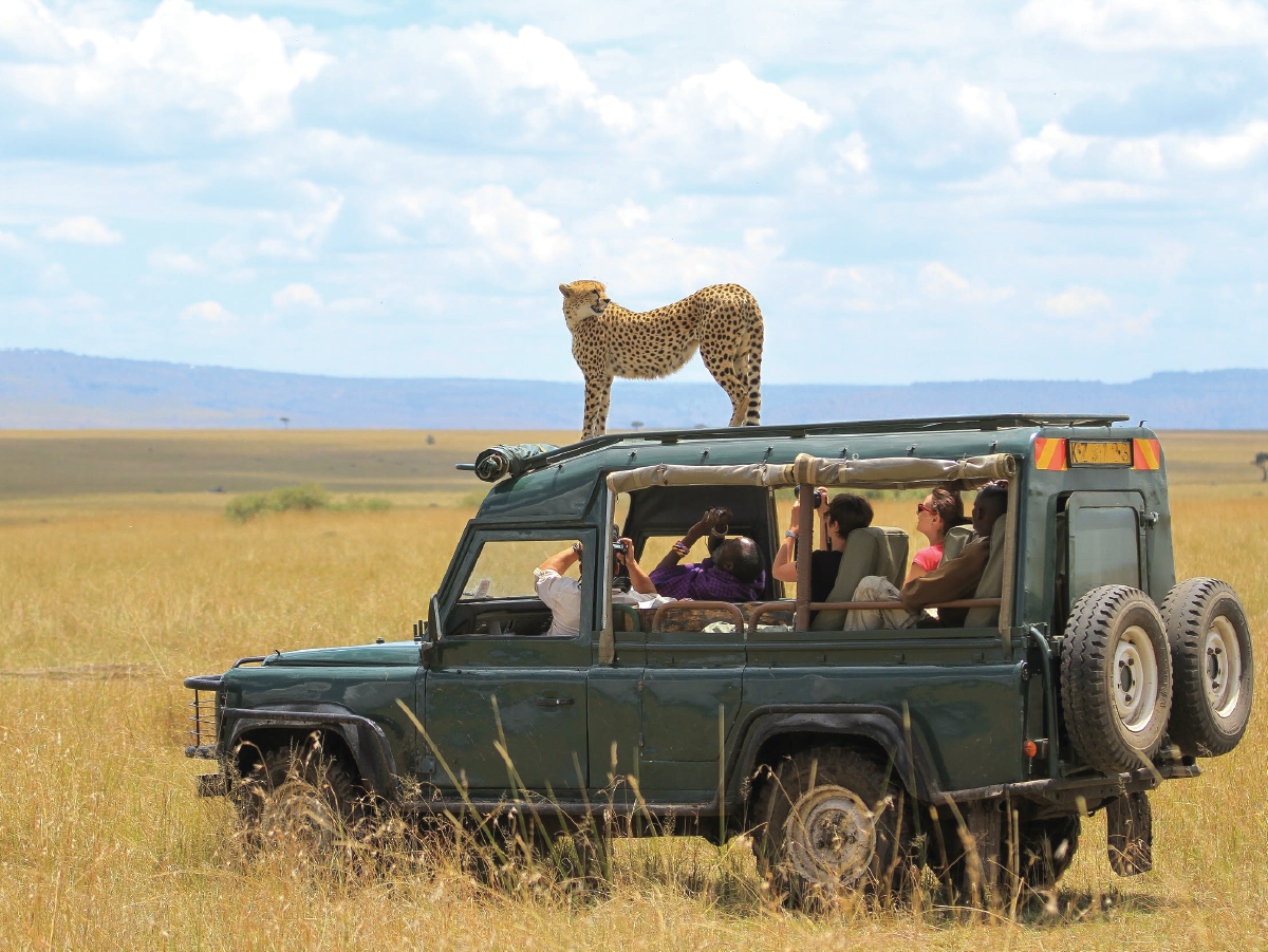 Inland safari 03 DAYS MID-RANGE SAFARI FOR 3 PAX